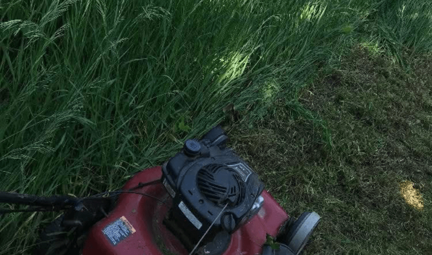 Dee's Lawn Care & Power Wash Services